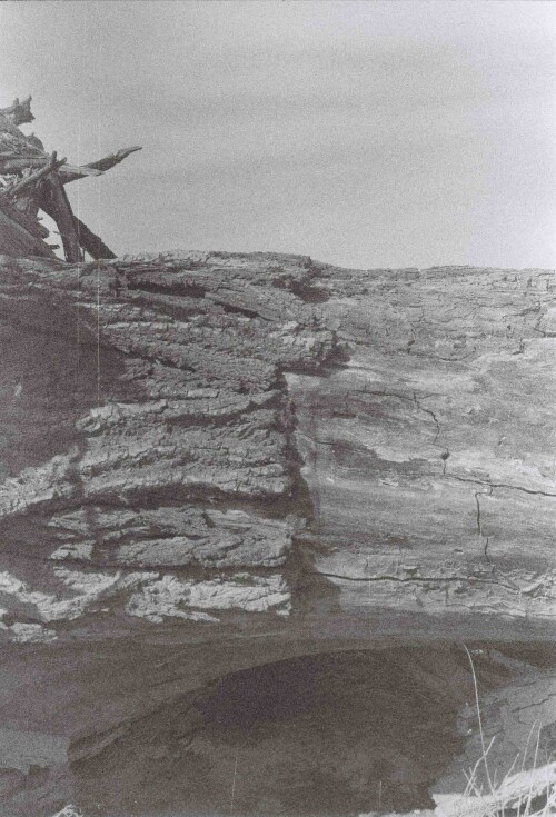 00001831f10bbe41b41d83