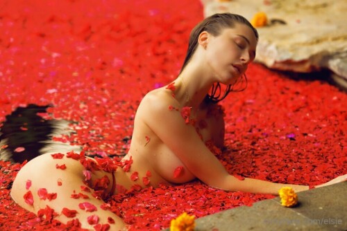 00001img377dbeea8e0f5e7c