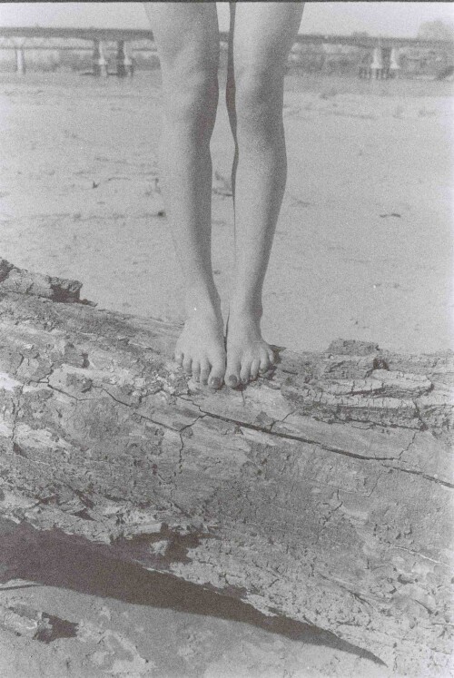 00002142d73b1603e6fde4