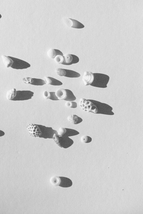 000039-16652edcc5bf5d9e0