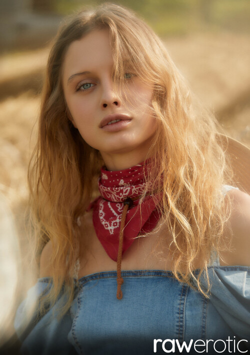 00023316106fe80cf329