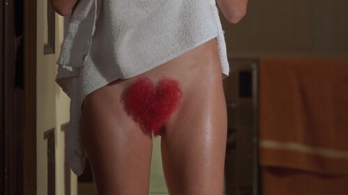 000749acd779f6ab855fc5