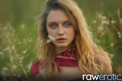 000858e803b5dc25452b