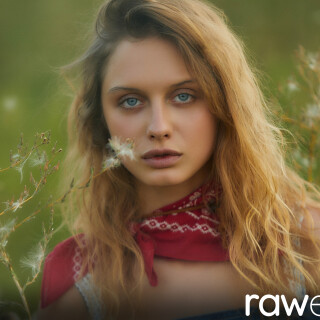 000858e803b5dc25452b