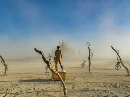 0011eb3a6dff68740e71