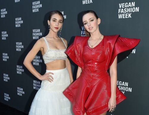 00158ddbd0bd8aa34d55