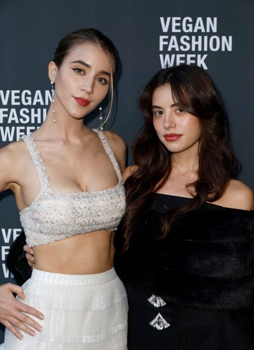 0018299a315ce673569a