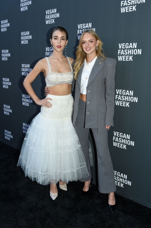 0019980f9169c7bc6dca