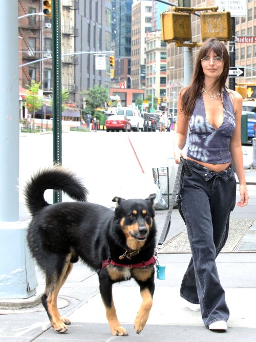 0020a5ba2c0f23d7076fe716f386736a2f7a