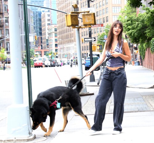 00221a4a878cf96cfca44e3def09614e3195