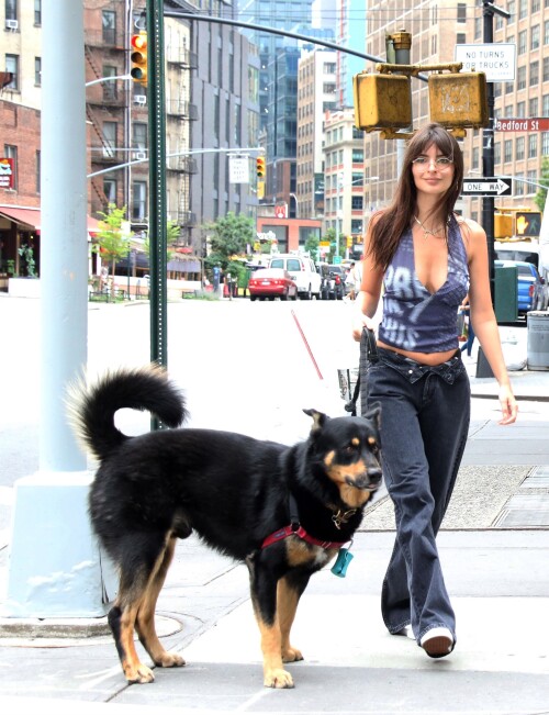 00242847ab2fe46ef00dd27f93568ba4eca3