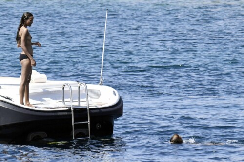 0026083923858 10 1 11