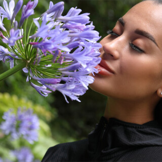 0028812c849bae252537