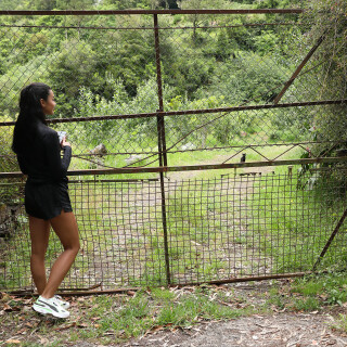 0029fa3e327f32171794