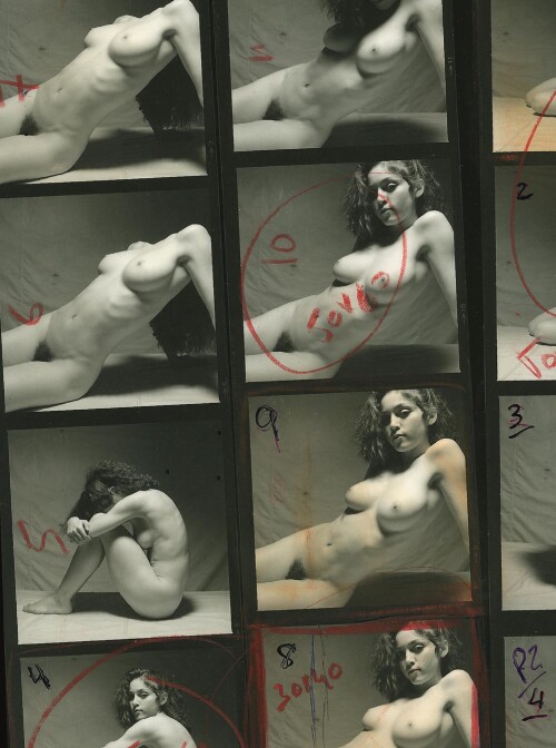 0053ceafa5c4adb576f0