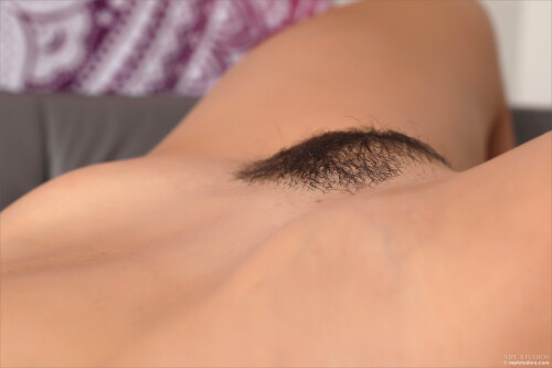 0063514b607786739114