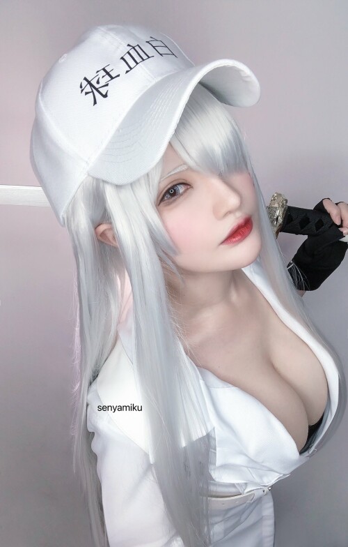 00651aa644cc9fea687