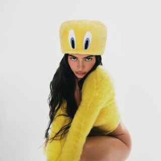 00800646f3f044f1c768a83fcdfc20769cb