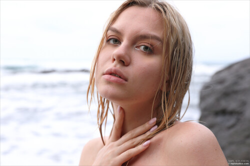 009093de41446178e79e