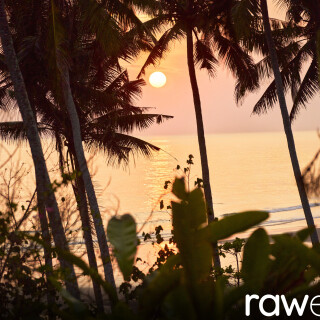 0090fe02a9999f24d6a7