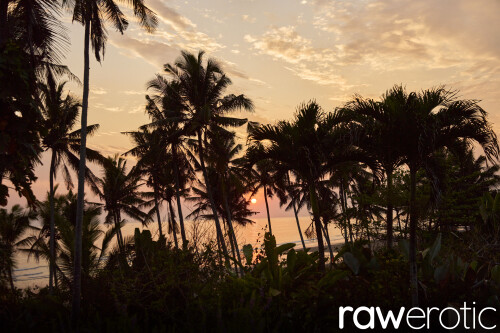 00915677fc57f2223197