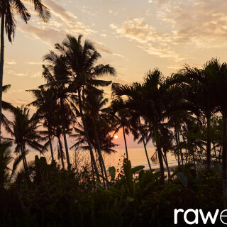 00915677fc57f2223197