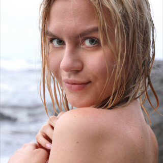 0091de5037638ab2d336