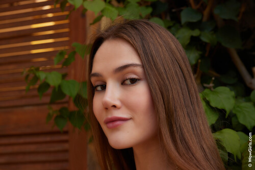 0095e697c1e4abd3f526