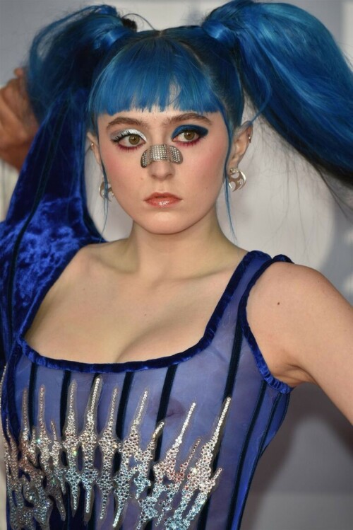 01 Ashnikko See Through Nude The Fappening Blog 13 768x1151