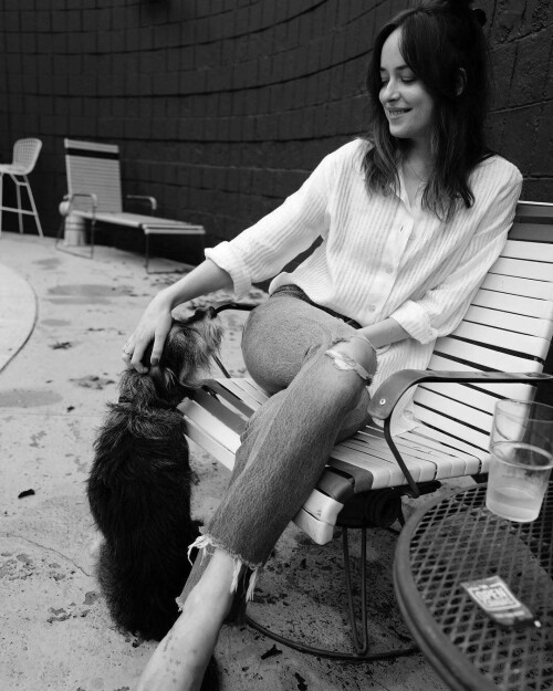 010 1bfc6ccf1c26400fc