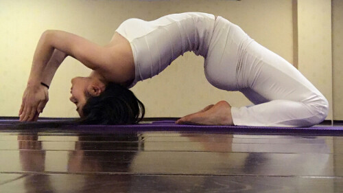 01004 5b19262a7a95c6d7c