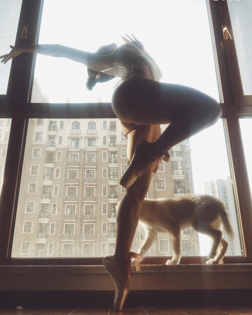 01033 8734795206e3bbdac