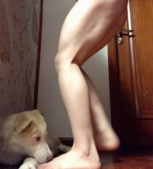 01037 4b0dd05274ce4bb45