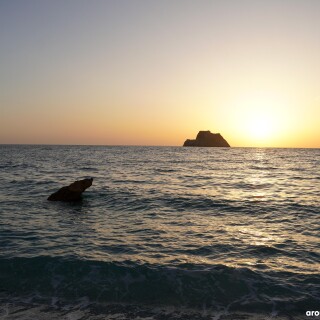 0148f2e28eb612b3b4e0