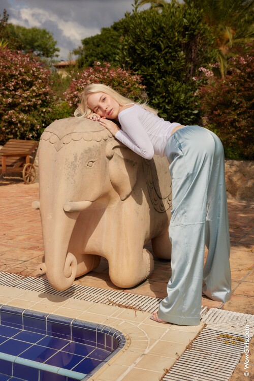 015 Custom366661dd7eeb0486