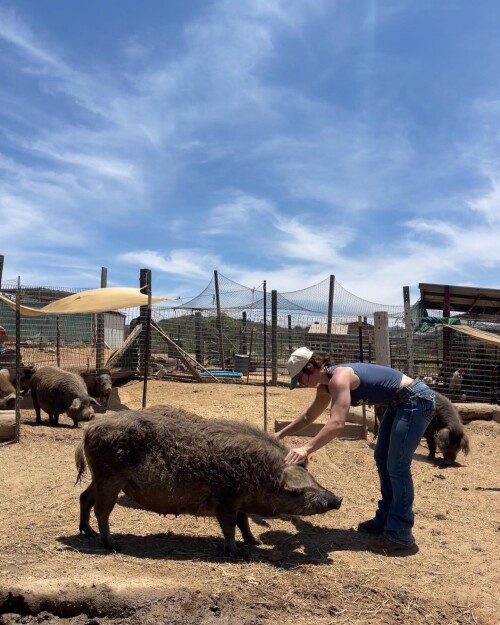 02067657027694 7648018875cc3b897cfad9633