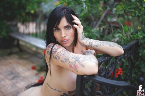 032 32ed09176c3a47c261