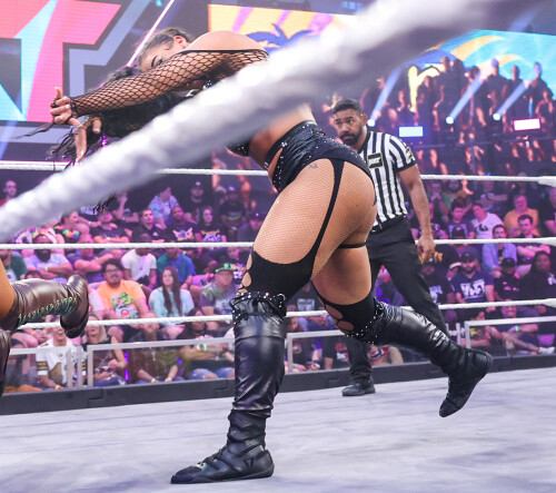 038 NXT 04232024AK 38336 4bdaa4fa6b62c9cb730ba9646e4de507b24cd7eebe40a16e