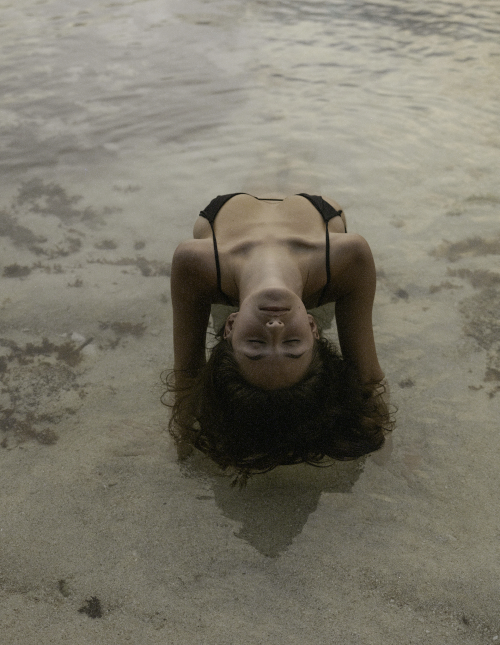 039_262be283d0adc8763