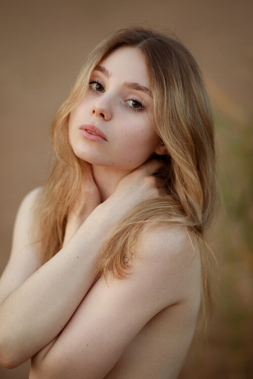 03e06c49 dfd0 419d b73e c228fa8792d336a3290ccd72ef38