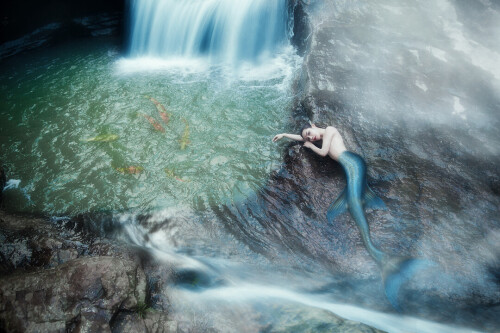 04501 1de3db2df86841bfa