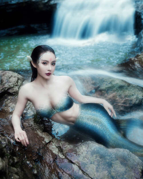 04501 727717f43cc151cfe