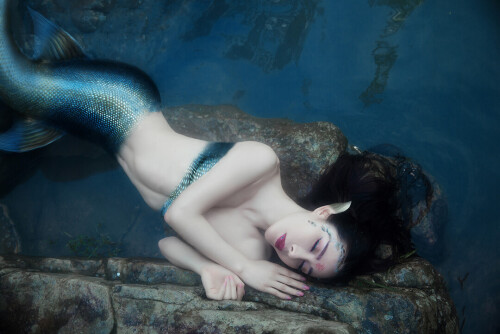 04501 8238ee1575215eefb