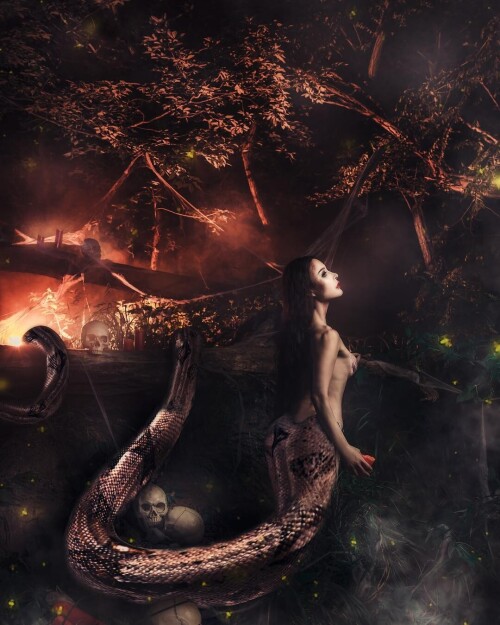 04508 1000d0bdadd262ffc