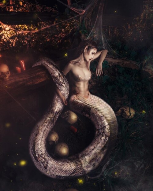 04508 3c581b50ae040e234