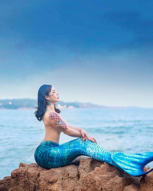 04527 3ef5e580c65da4ded