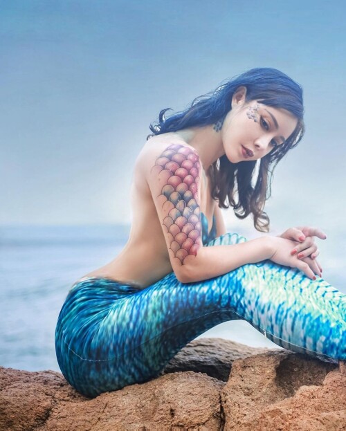 04527 80847f301a8617eeb