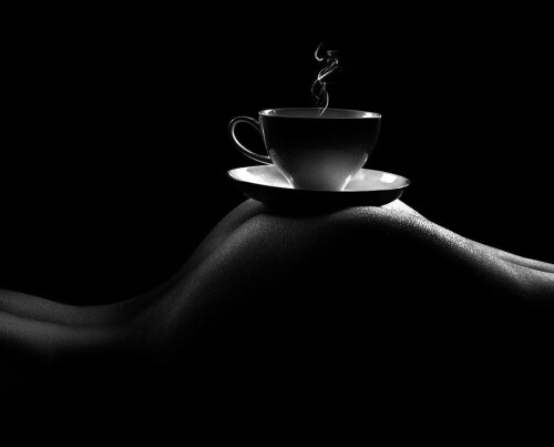 04902 244685714c33bf48f8