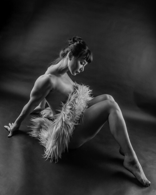 04906 3338bbb7e85c47fa4