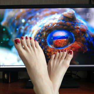 08-adjUV6ZypHke911743ae208cc5e